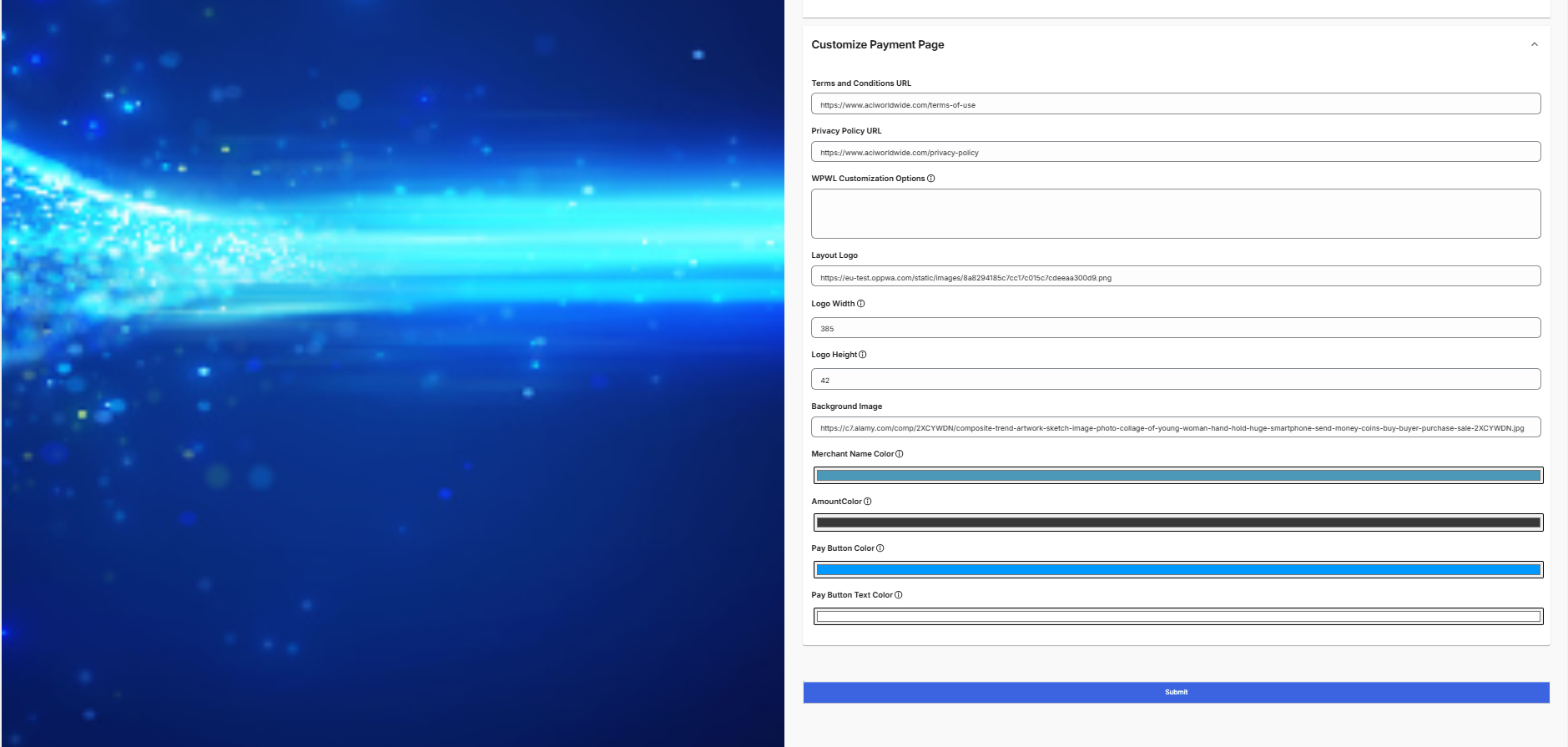 Shopify (COPYandPAY): Sample Configuration (continued)